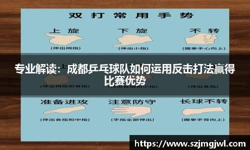 专业解读：成都乒乓球队如何运用反击打法赢得比赛优势